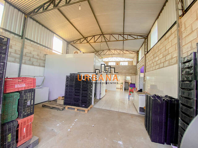 Casa para Venda em Pouso Alegre - 4