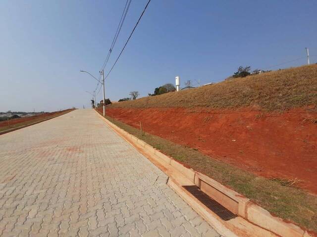 #805 - Terreno para Venda em Pouso Alegre - MG