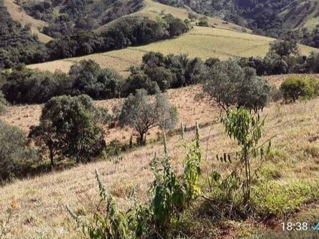 Terreno Rural para Venda em Cambuí - 4