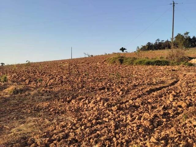 #1054 - Chácara para Venda em Pouso Alegre - MG