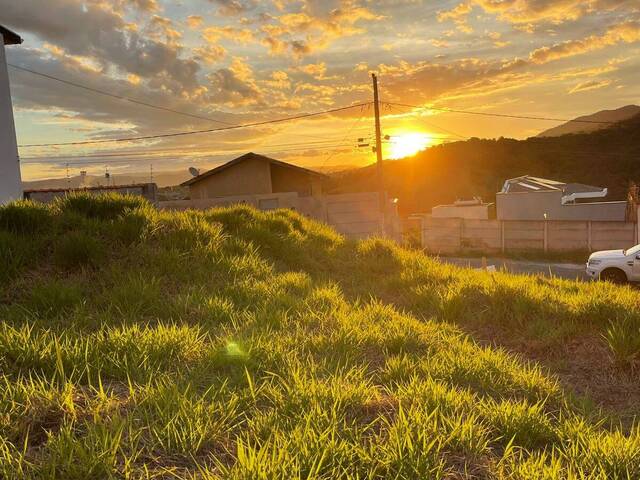 #1181 - Terreno para Venda em Pouso Alegre - MG