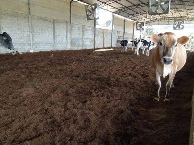 #1187 - Chácara para Venda em Pouso Alegre - MG