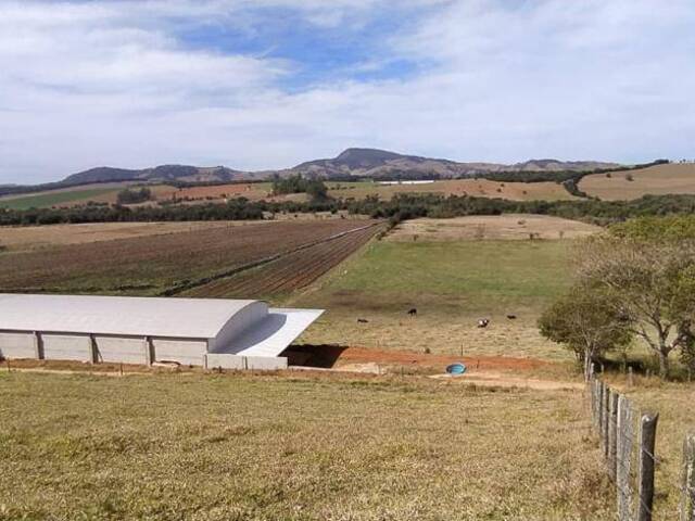 #1187 - Chácara para Venda em Pouso Alegre - MG