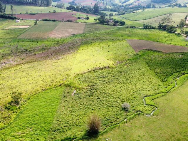 Terreno para Venda em Congonhal - 4