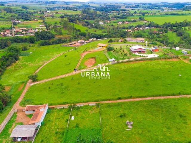 Terreno Rural para Venda em Pouso Alegre - 5