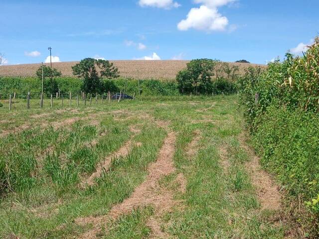 Terreno Rural para Venda em Congonhal - 4