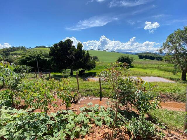 #1531 - Chácara para Venda em Pouso Alegre - MG