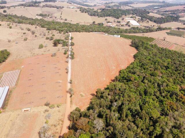 Terreno para Venda em Pouso Alegre - 4