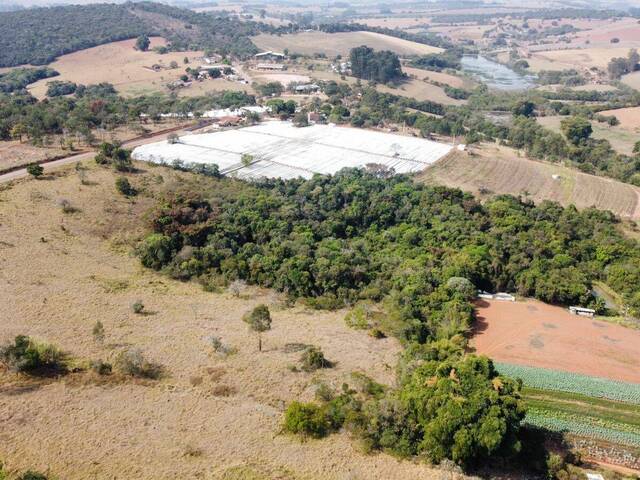 Terreno para Venda em Pouso Alegre - 5