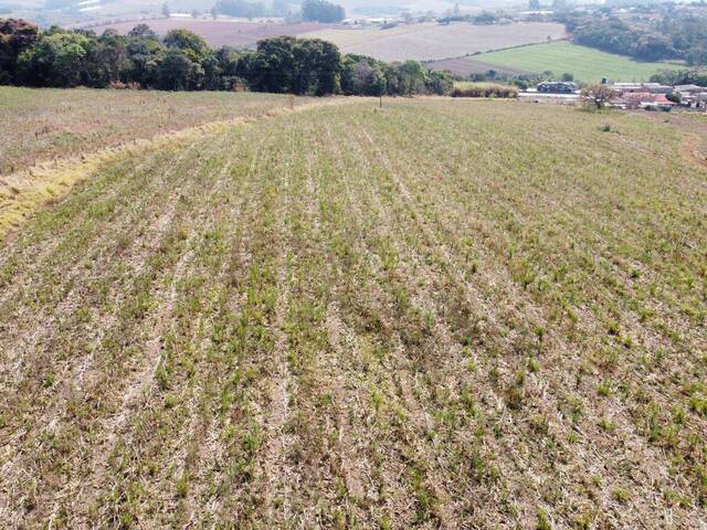 #1545 - Terreno para Venda em Pouso Alegre - MG