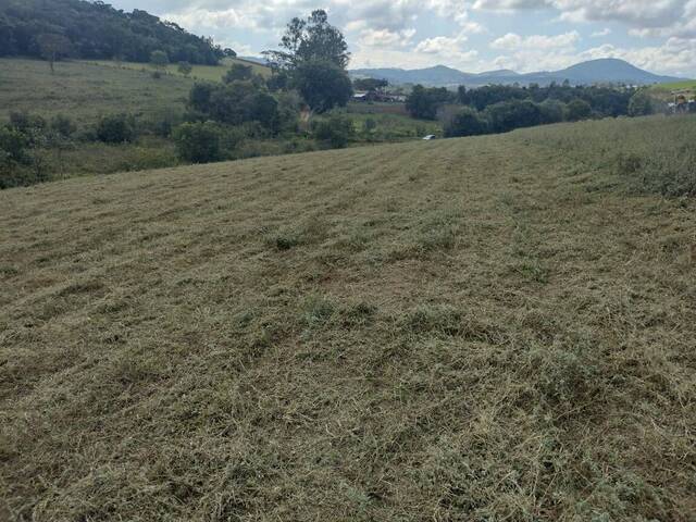 Terreno Rural para Venda em Silvianópolis - 4