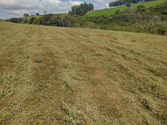 Terreno Rural para Venda em Silvianópolis - 5