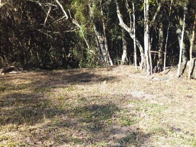 Terreno para Venda em Pouso Alegre - 5