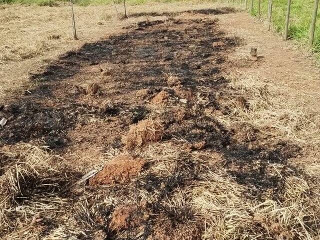 #1641 - Terreno para Venda em Pouso Alegre - MG