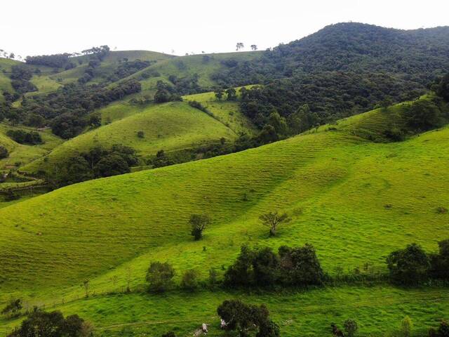 Terreno Rural para Venda em Pouso Alegre - 5