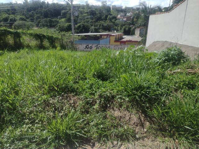 Terreno para Venda em Pouso Alegre - 4