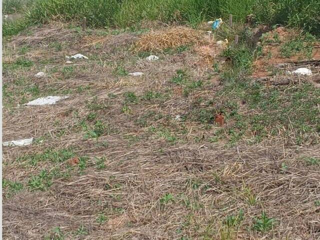 #2410 - Terreno para Venda em Pouso Alegre - MG