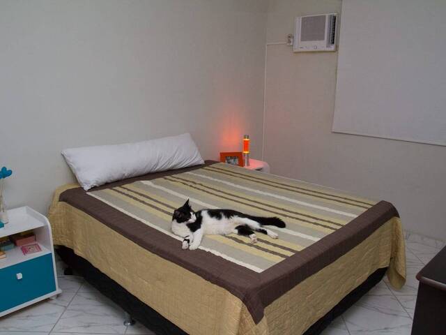 Apartamento para Venda em Pouso Alegre - 5