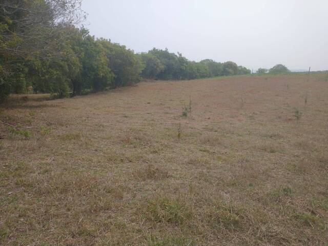 Terreno para Venda em Pouso Alegre - 5