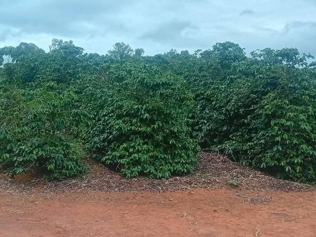 Terreno para Venda em Turvolândia - 4