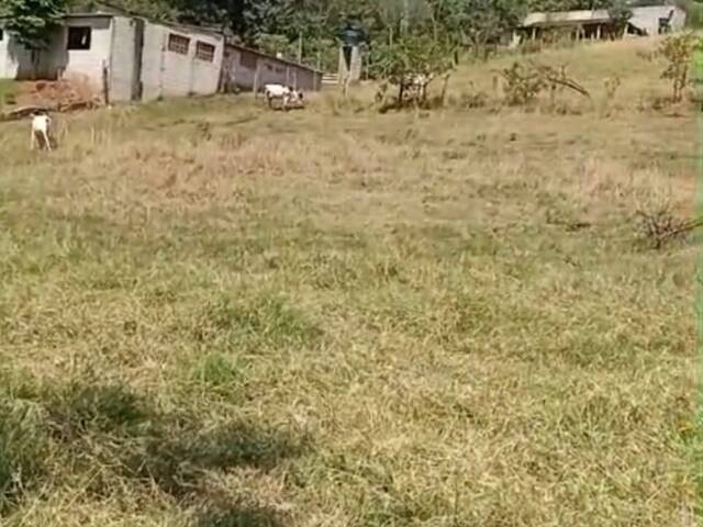 Terreno Rural para Venda em Borda da Mata - 5