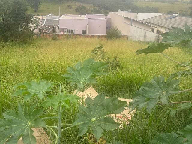 Terreno para Venda em Pouso Alegre - 5