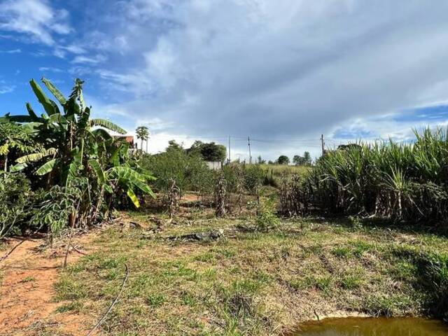 Terreno Rural para Venda em Pouso Alegre - 4