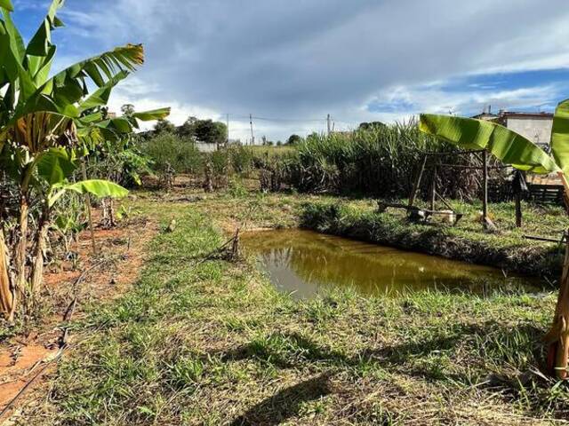 Terreno Rural para Venda em Pouso Alegre - 5