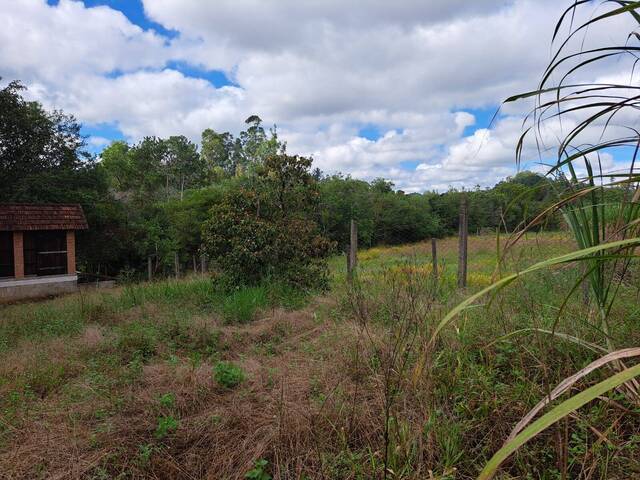Venda em Cervo - Pouso Alegre