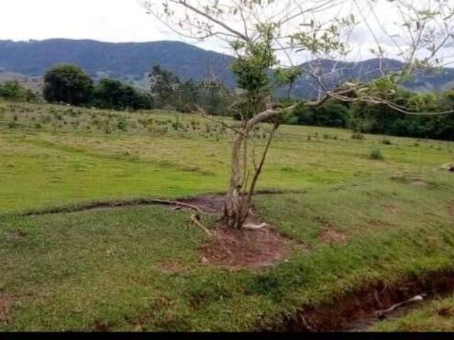 Área para Venda em Congonhal - 4