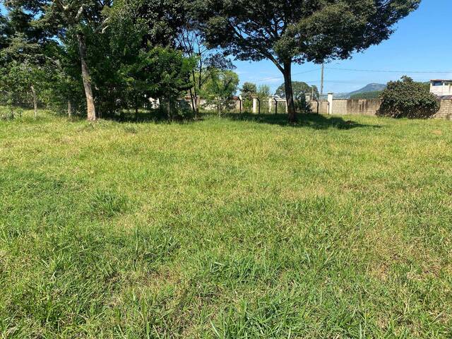 Venda em Pantano São José - Pouso Alegre
