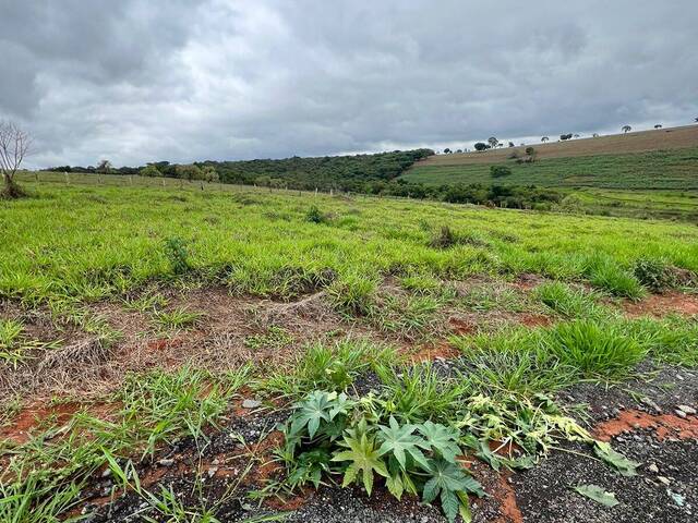 #2966 - Área para Venda em Pouso Alegre - MG - 1