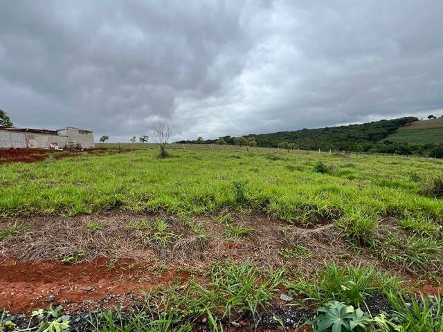 #2966 - Área para Venda em Pouso Alegre - MG - 3