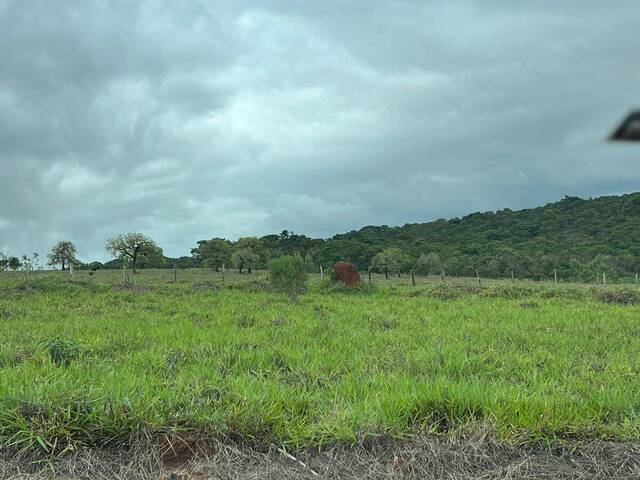Área para Venda em Pouso Alegre - 4