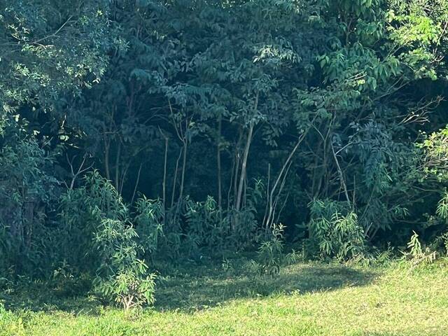 #2967 - Área para Venda em Pouso Alegre - MG - 1