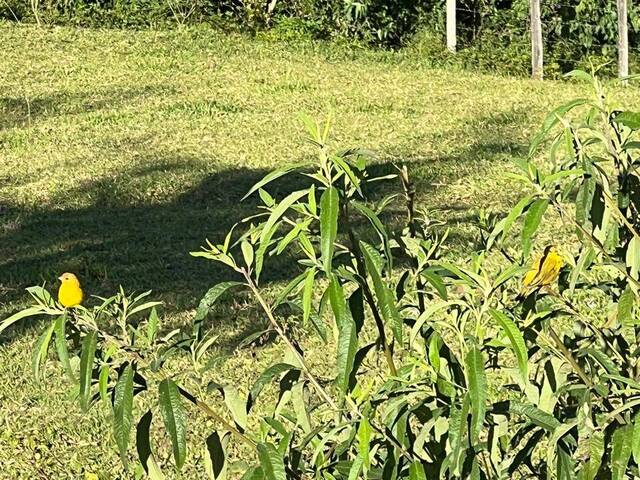 #2967 - Área para Venda em Pouso Alegre - MG - 3