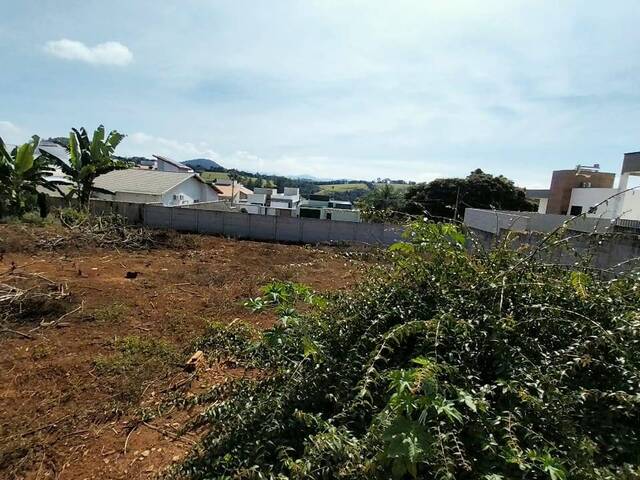 #2992 - Área para Venda em Pouso Alegre - MG - 1