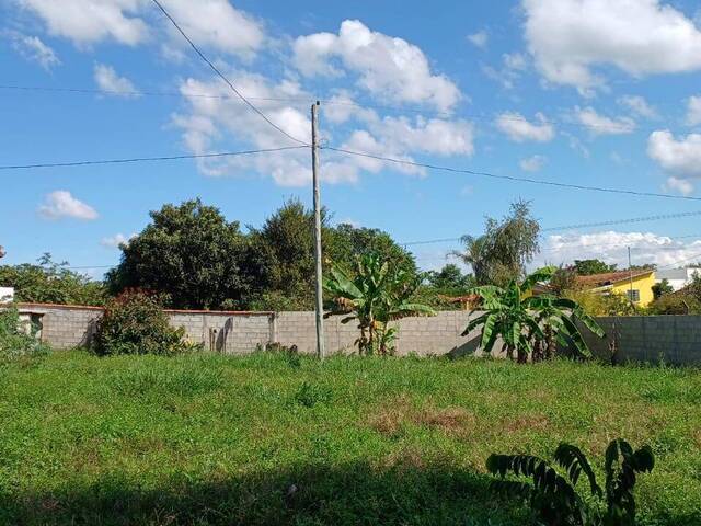 Venda em CAJURU - Pouso Alegre
