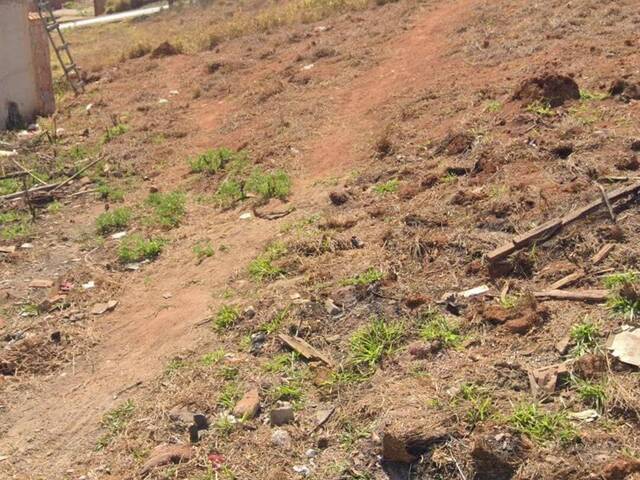 #2703 - Terreno para Venda em Pouso Alegre - MG - 1