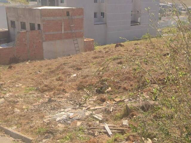 #2703 - Terreno para Venda em Pouso Alegre - MG - 2