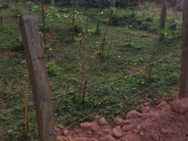 Área para Venda em Pouso Alegre - 5
