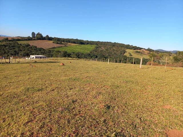 Área para Venda em Pouso Alegre - 4