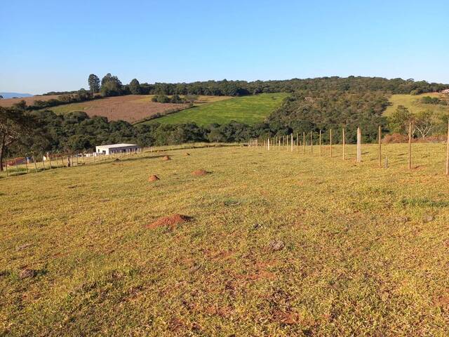 Área para Venda em Pouso Alegre - 5