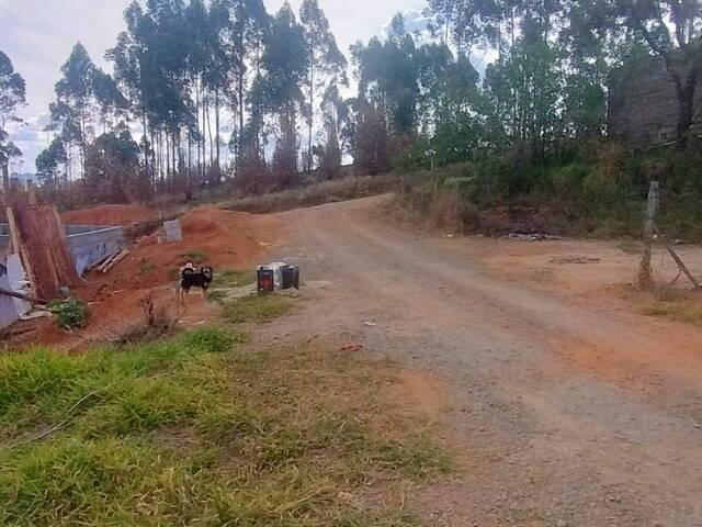 #3123 - Área para Venda em Pouso Alegre - MG - 1