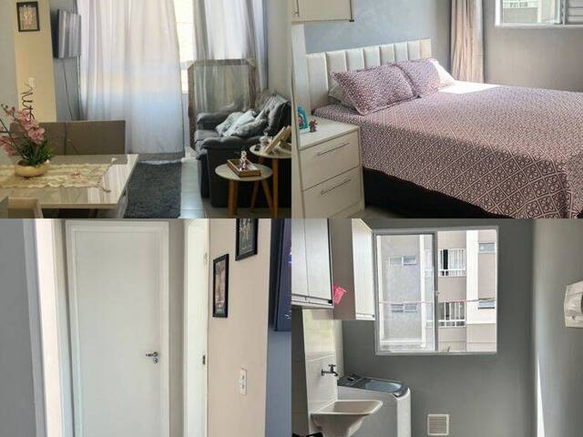 #3161 - Apartamento para Venda em Pouso Alegre - MG - 3