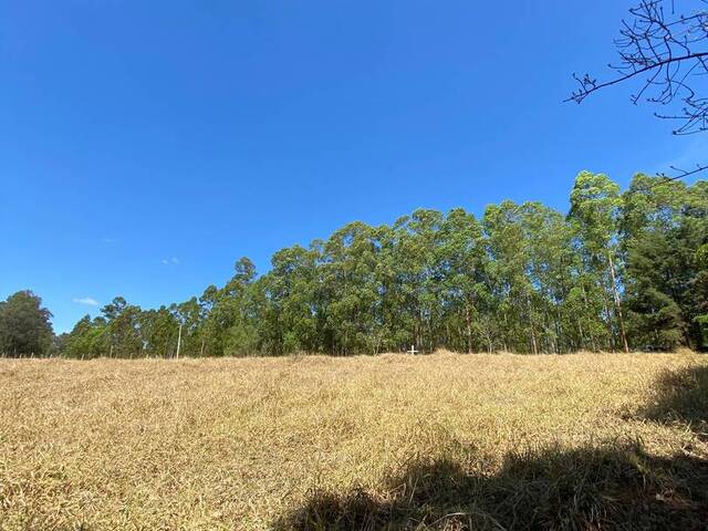 #3191 - Chácara para Venda em Pouso Alegre - MG - 2