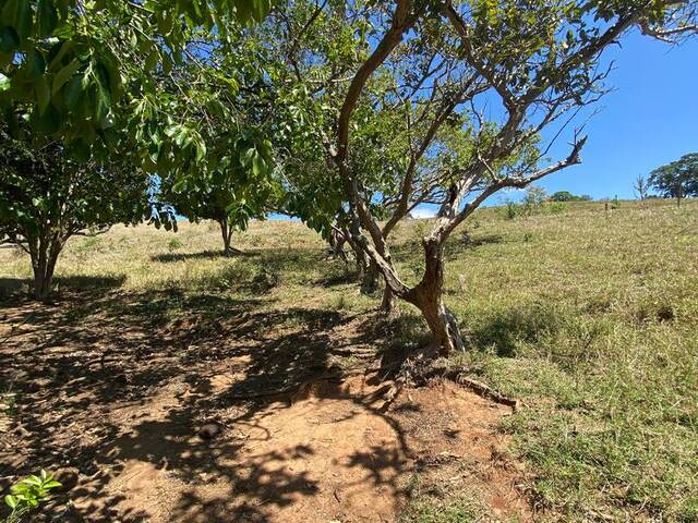 #3192 - Chácara para Venda em Pouso Alegre - MG - 2