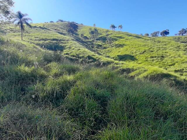#3197 - Sítio para Venda em Pouso Alegre - MG - 1