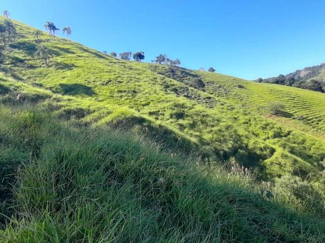 #3197 - Sítio para Venda em Pouso Alegre - MG - 2