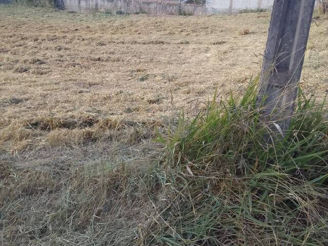 #3236 - Área para Venda em Pouso Alegre - MG - 1